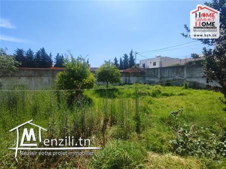 Terrain Andreas À Vendre À La Soukra