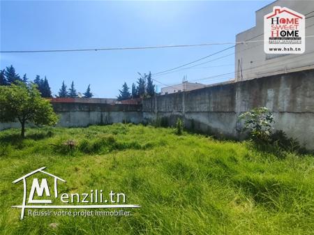 Terrain Andreas À Vendre À La Soukra