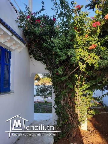 grande maison a kerkouane