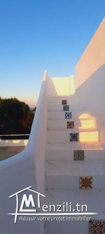 grande maison a kerkouane