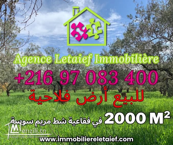 Terrain Agricole de 2000 m²  a Foukaia Chott meriem