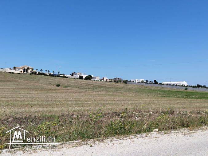 TERRAIN A VENDRE A KELIBIA TAMEZRAT