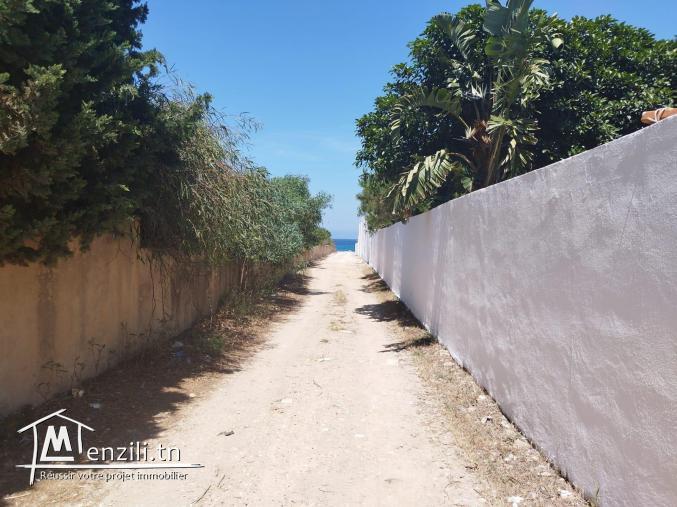 TERRAIN A VENDRE A KELIBIA TAMEZRAT