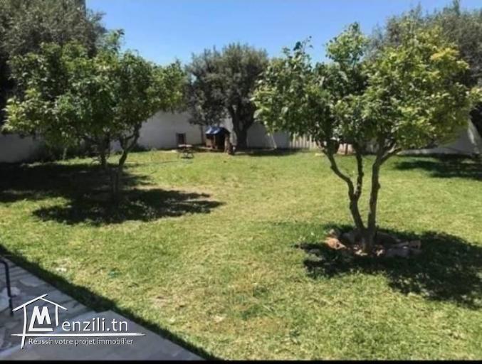 A louer Villa S2 avec piscine à Hammamet Nord