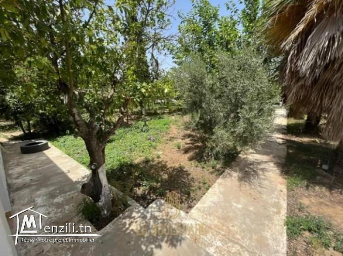 A louer Maison de compagne S3 à Nabeul