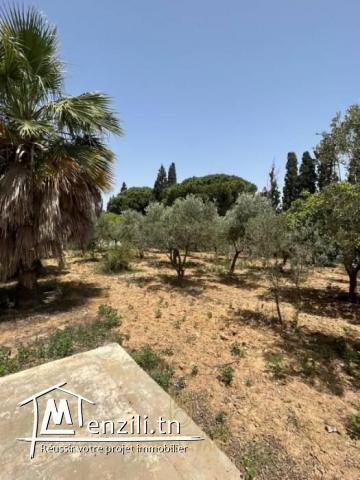 A louer Maison de compagne S3 à Nabeul