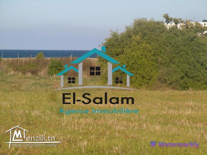 terrain à vendre situé à dar allouch