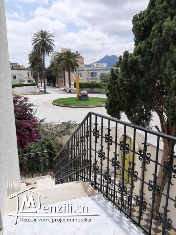 Une villa de 500m avec un emplacement excellent!