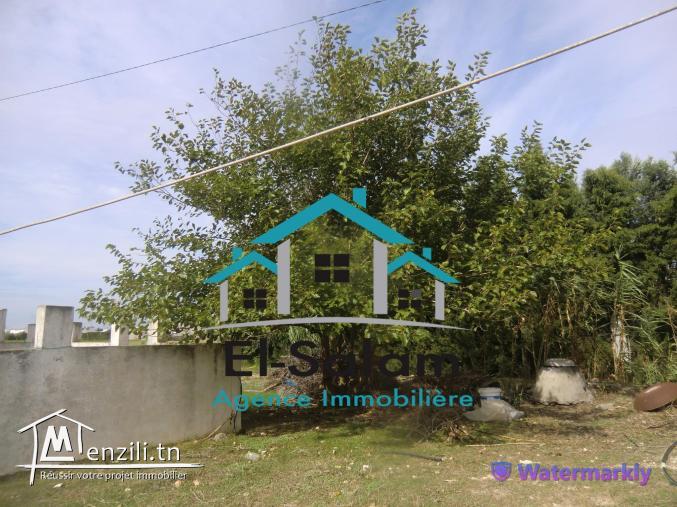 maison arab situé a dar allouch