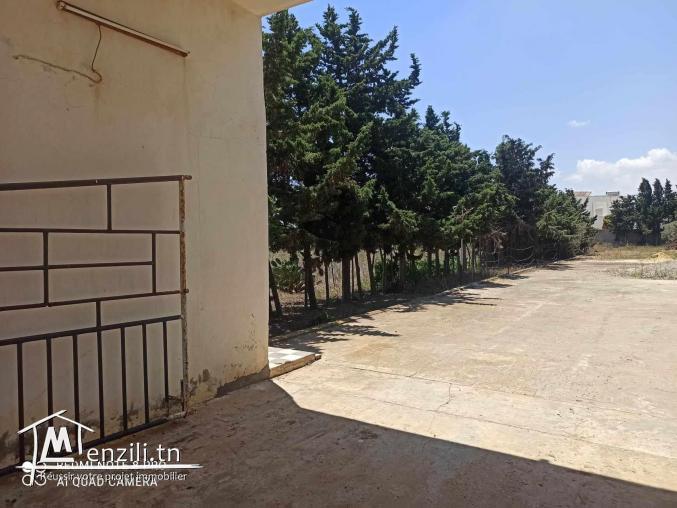 terrain a kelibia plage dherwa