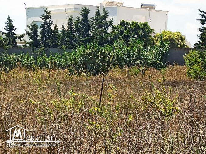 terrain a kelibia plage dherwa