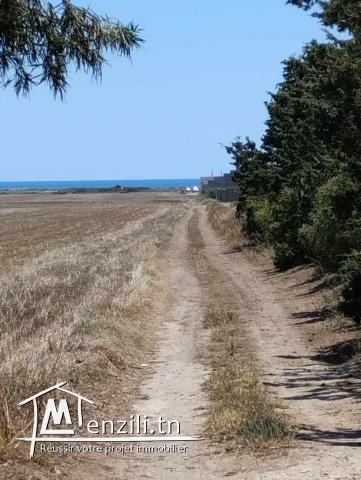 terrain a kelibia plage dherwa