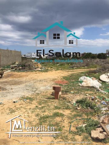 terrain à kelibia prés a la merville plage