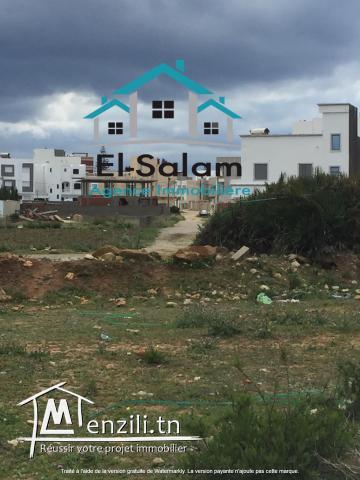 terrain à kelibia prés a la merville plage