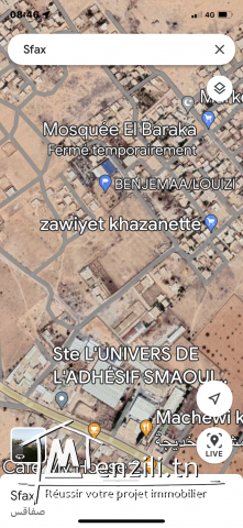 Terrain benjemaa/Louizi