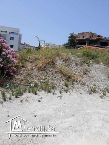 Terrain à vendre Tabarka, Parc Alrimal