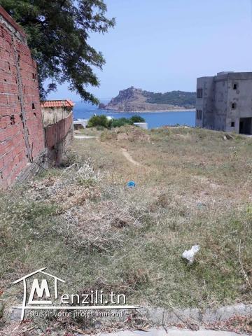 Terrain à vendre Tabarka, Parc Alrimal