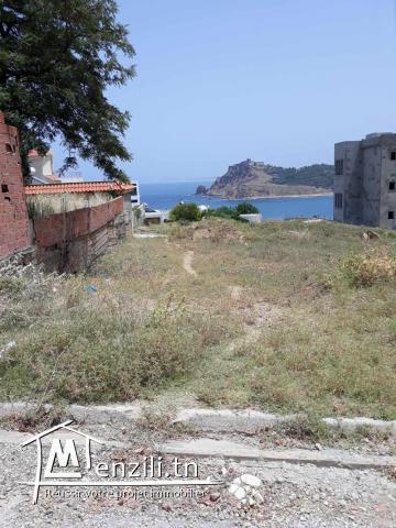 Terrain à vendre Tabarka, Parc Alrimal