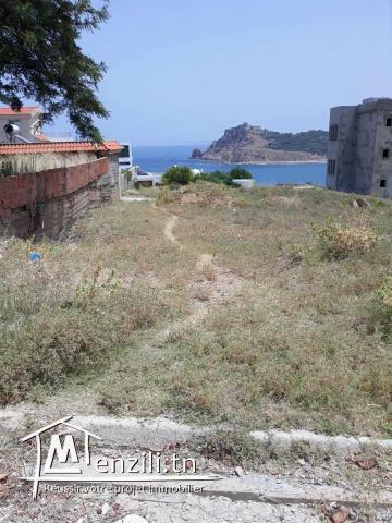 Terrain à vendre Tabarka, Parc Alrimal