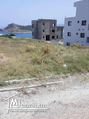 Terrain à vendre Tabarka, Parc Alrimal