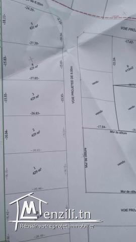 3 Terrains à bâtir Borj Touil Raoued - 390DT/m² Contact 55656145