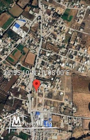 3 Terrains à bâtir Borj Touil Raoued - 390DT/m² Contact 55656145