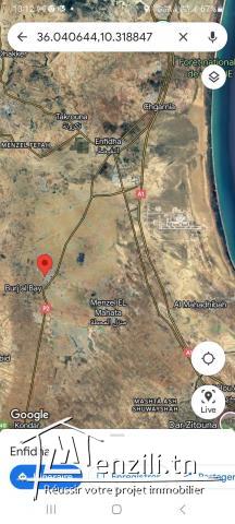 Terrain à vendre de 4300 m2 à Enfidha