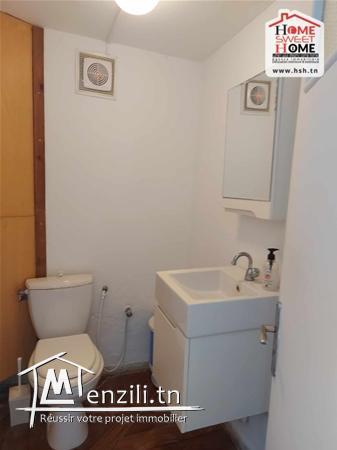 Fond Burberry à Vendre aux Berges du Lac1