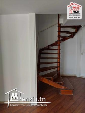 Fond Burberry à Vendre aux Berges du Lac1