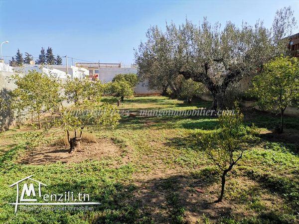 Terrain Ksar Ezit Hammamet VT2267