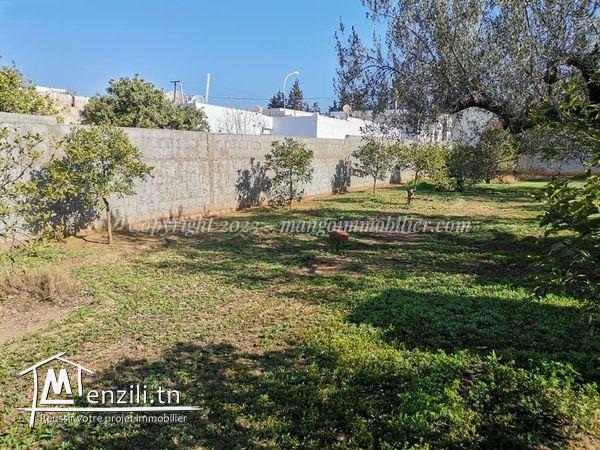 Terrain Ksar Ezit Hammamet VT2267