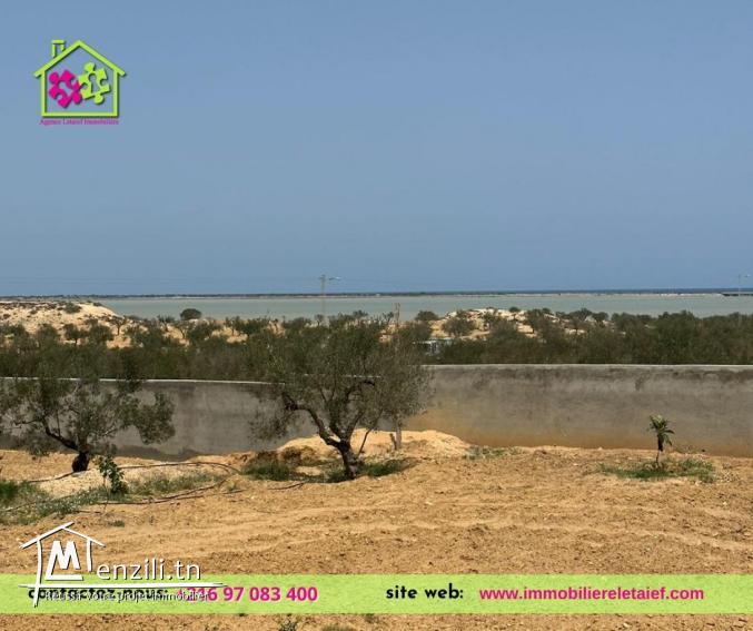 Terrainde5000m²a Foukaia ChattMeriem