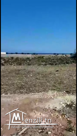 Terrain à vendre à la sortie sud de Yasmine Hammamet