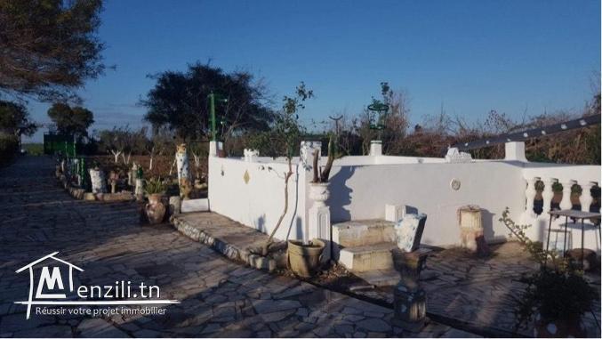 A vendre un lot de terrain de 1670 m a borj youssef, Ariana 