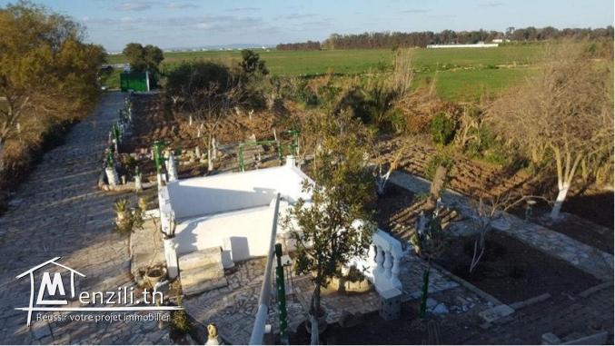 A vendre un lot de terrain de 1670 m a borj youssef, Ariana 