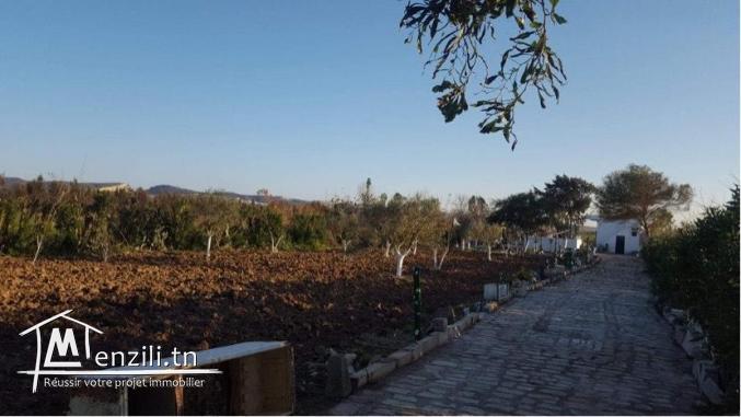 A vendre un lot de terrain de 1670 m a borj youssef, Ariana 