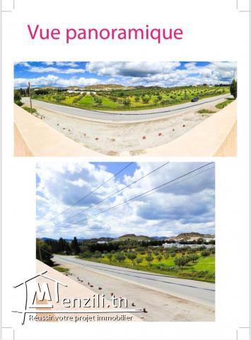 OPPORTUNITE HAMMAMET MAISON ET LOCAUX COMMERCIAUX