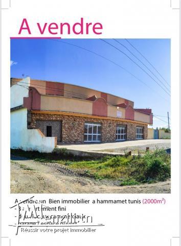 OPPORTUNITE HAMMAMET MAISON ET LOCAUX COMMERCIAUX