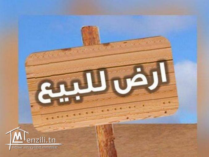 اشتراك في الملكية