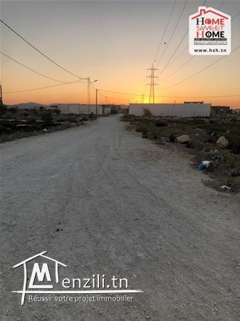 Terrain Promoteur Corléon À Vendre À Sidi Salah
