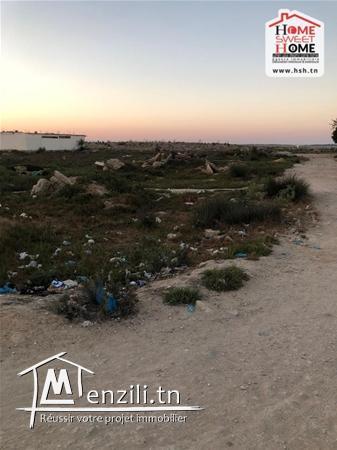 Terrain Promoteur Corléon À Vendre À Sidi Salah