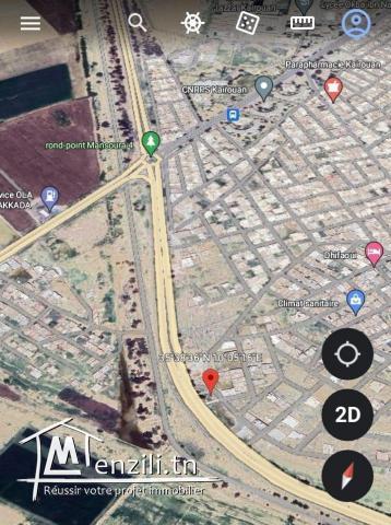 لبيع ارض في المنصورة علي الحزامية  تحل علي نهجيين ...