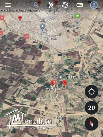 للبيع ارض طريق رقادة