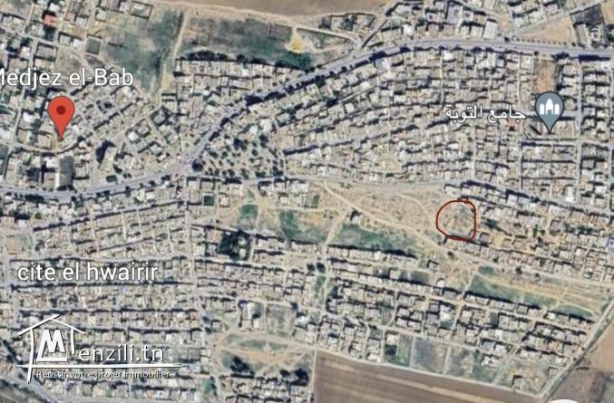 Terrain a vendre mdjez el bab cite el jalazeya