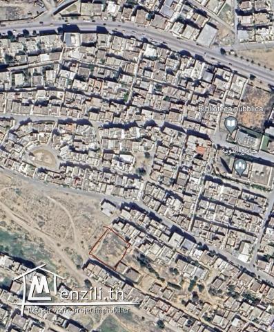 Terrain a vendre mdjez el bab cite el jalazeya