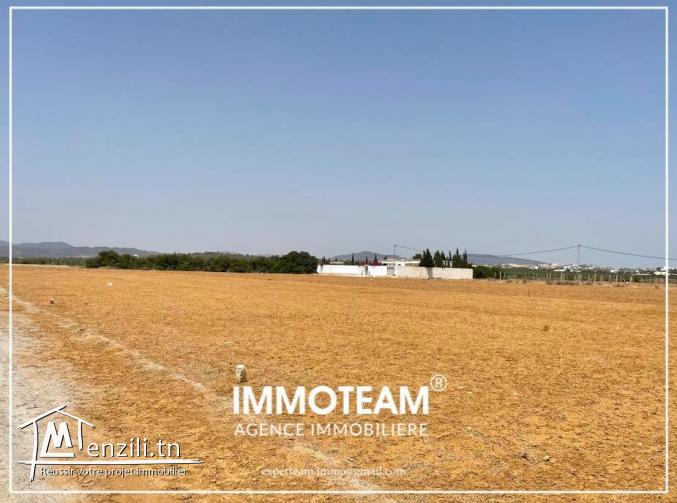 TERRAIN DE 2000 m² A VENDRE HAMMAMET