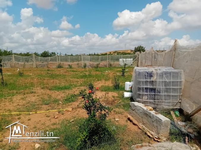 Terrain a vendre de 1384 m2 à Mohamdia