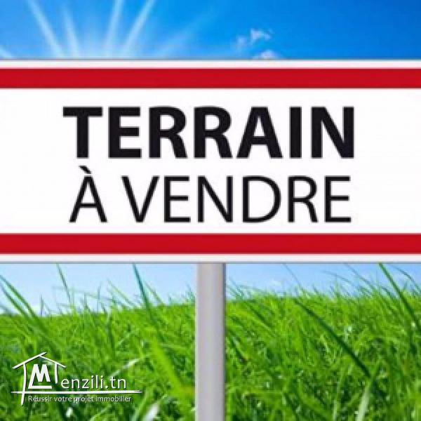 Terrain pour promoteur JINENE ENNASSR2