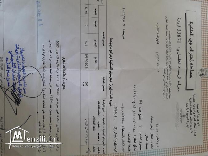 Vente terrain constructible raoued