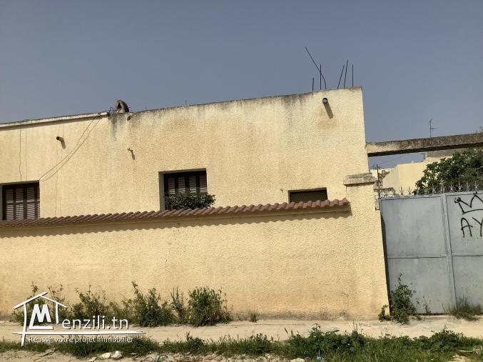 MAISON 884 m2 JENDOUBA CENTRE